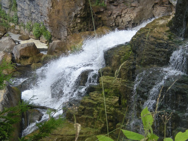 [DSCN23503.jpg]