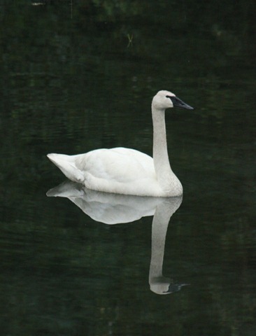 [IMG_94444.jpg]