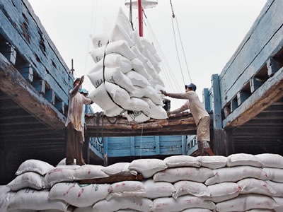 [indonesia_fertilizer4.jpg]