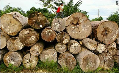 [indonesia_woodworking_timber_export[5].jpg]