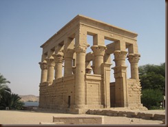 IMG_3110 IMG_3110