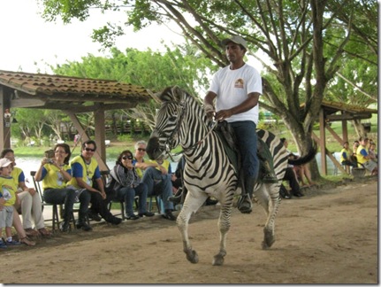 Zebra 2 Zebra 2