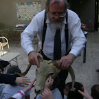 DSC07183.JPG