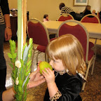 IMG_0262.JPG