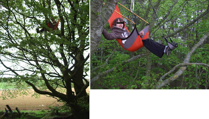 treeman.jpg