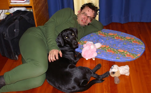 Labradorinnoutaja