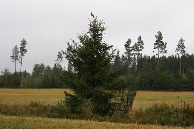 passipaikka