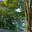 panoramica parque con alvaro