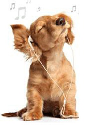 perro-musica2 perro-musica2
