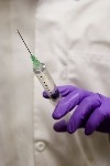 [needle[7].jpg]