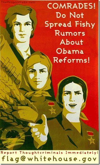Obamacare_Flag_Poster_Hush2