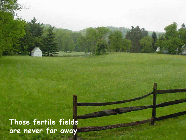 [gview.png11[3].png]
