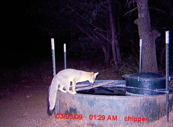 [ATT00044[3].jpg]