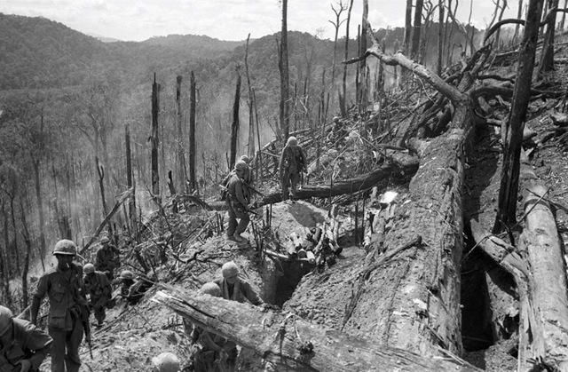 [vietnam068.sJPG_950_2000_0_75_0_50_50.sJPG[3].jpg]