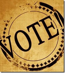 295-vote-sign_0
