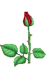 [Rose[2].gif]