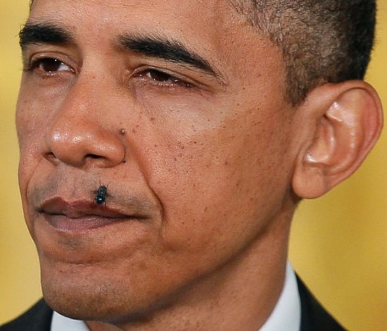 [obama-fly-zone-550x470[3].jpg]