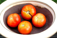 First tomatoes