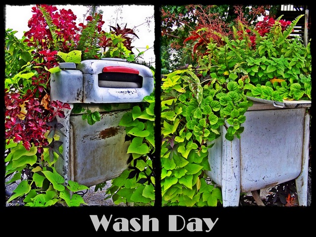 [washdayB1.jpg]