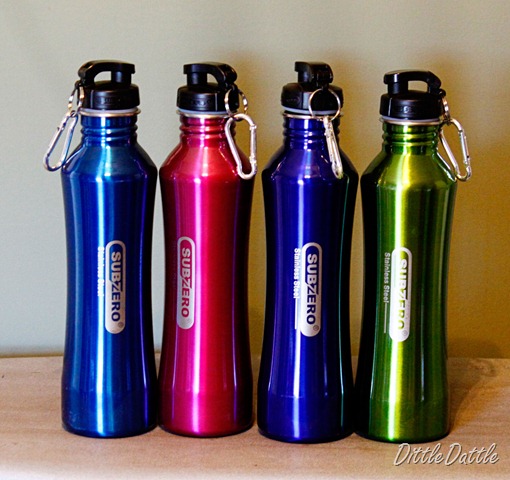 [stainless-steel-water-bottle[2].jpg]