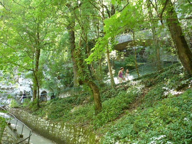 [P1030791[3].jpg]