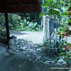 Flowers grow quickly.jpg