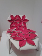 IMG00256-20090917-1506