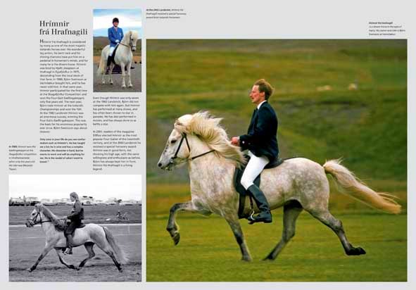 [icehorse36.jpg]
