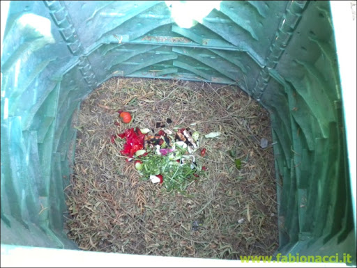 DSCN1494.jpg