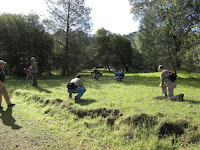 IMG_3704.JPG Photo