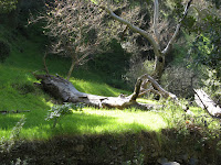 IMG_3840.JPG Photo