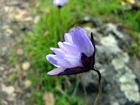 IMG_3851.JPG Photo