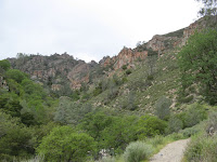 IMG_3895.JPG Photo