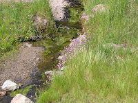 IMG_3918.JPG Photo