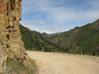 IMG_4141.JPG Photo
