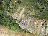 IMG_4142.JPG Photo