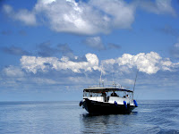 DSC04728.jpg