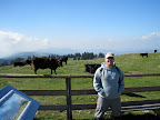 My brother at the top of the Creux-du-Van, surronded by cows