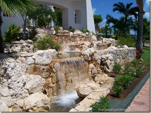Gorgeous water gardens