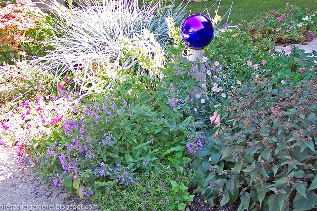 [Balls in Garden[7].jpg]
