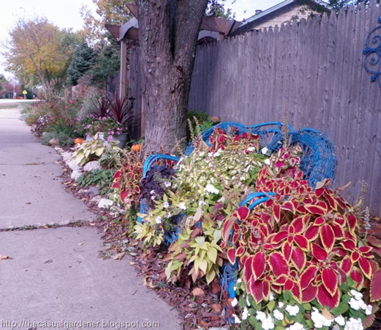 [Fall Community Garden[7].jpg]