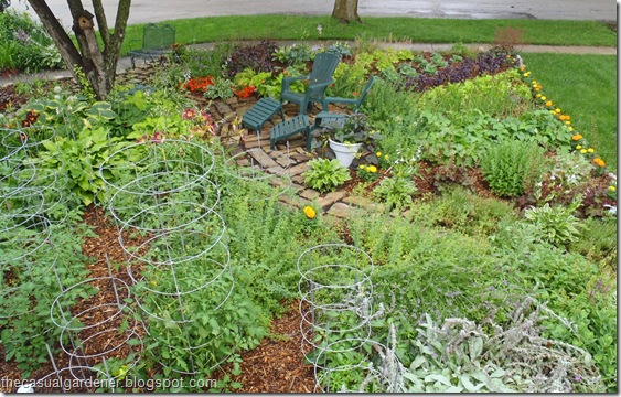 Sustainable Front Lawn Vegetable Garden at the home of Shawna Coronado         