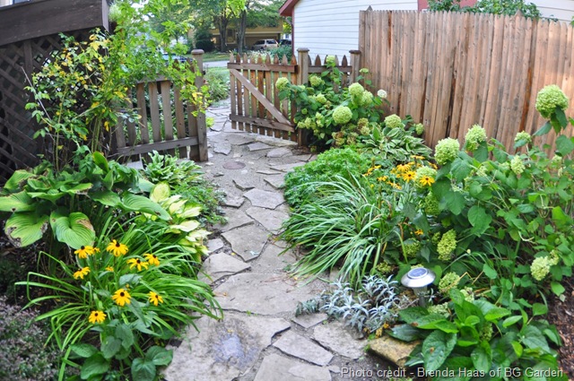 [Side-Yard-View[1].jpg]