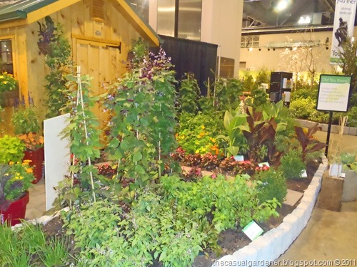 [Philly Veggie Garden[7].jpg]