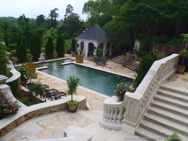 [Murphy Garden[11].jpg]