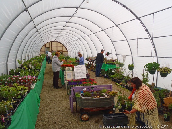 [Carolees Nursery[9].jpg]