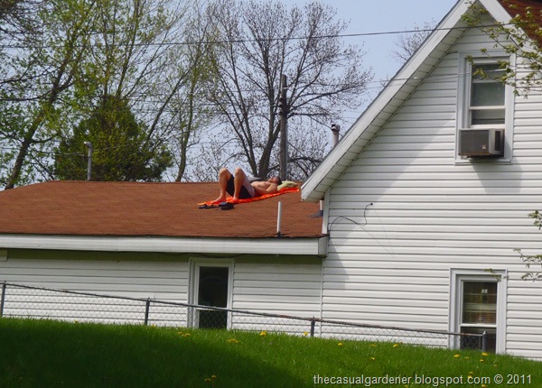 [Carolee Half Naked Man on Roof[7].jpg]