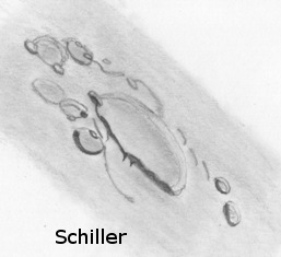 [Schiller Drawing 1[2].jpg]