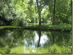 IMG_0769 IMG_0769