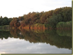 IMG_1080 IMG_1080
